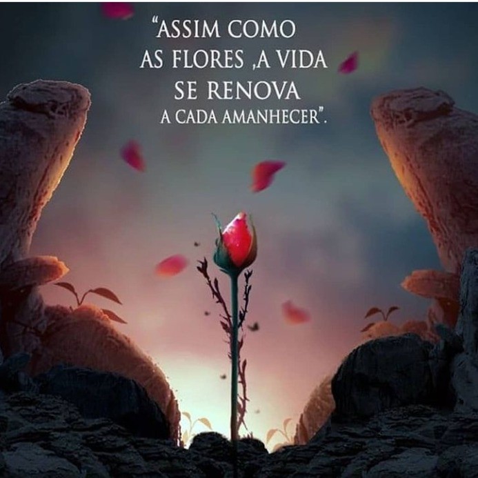 Nanda Rosa Lingerie Loja Online Shopee Brasil