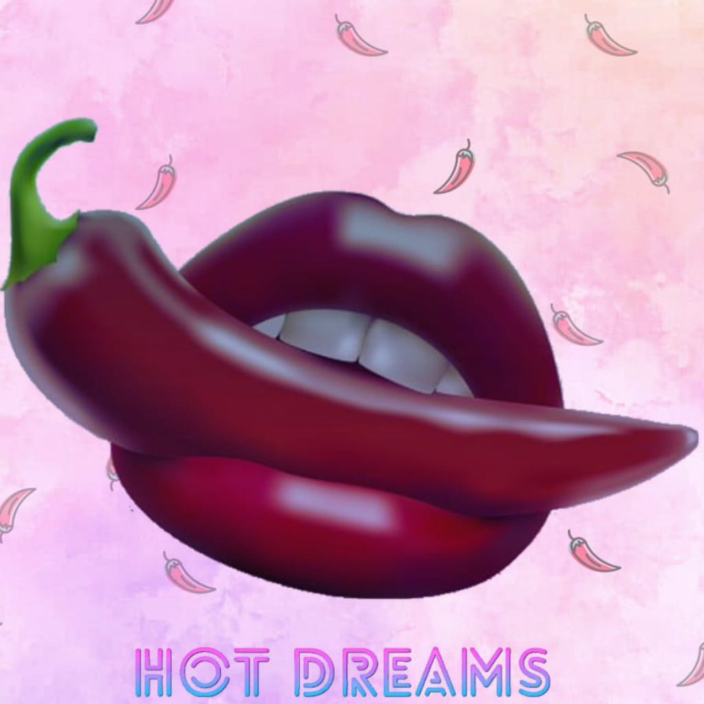 Hot Dreams Loja Online Shopee Brasil