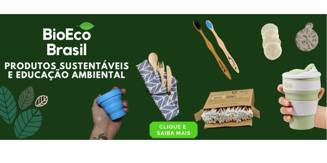 Kit terrário aberto DIY (Monte você mesmo) com suculentas - BioEco Brasil
