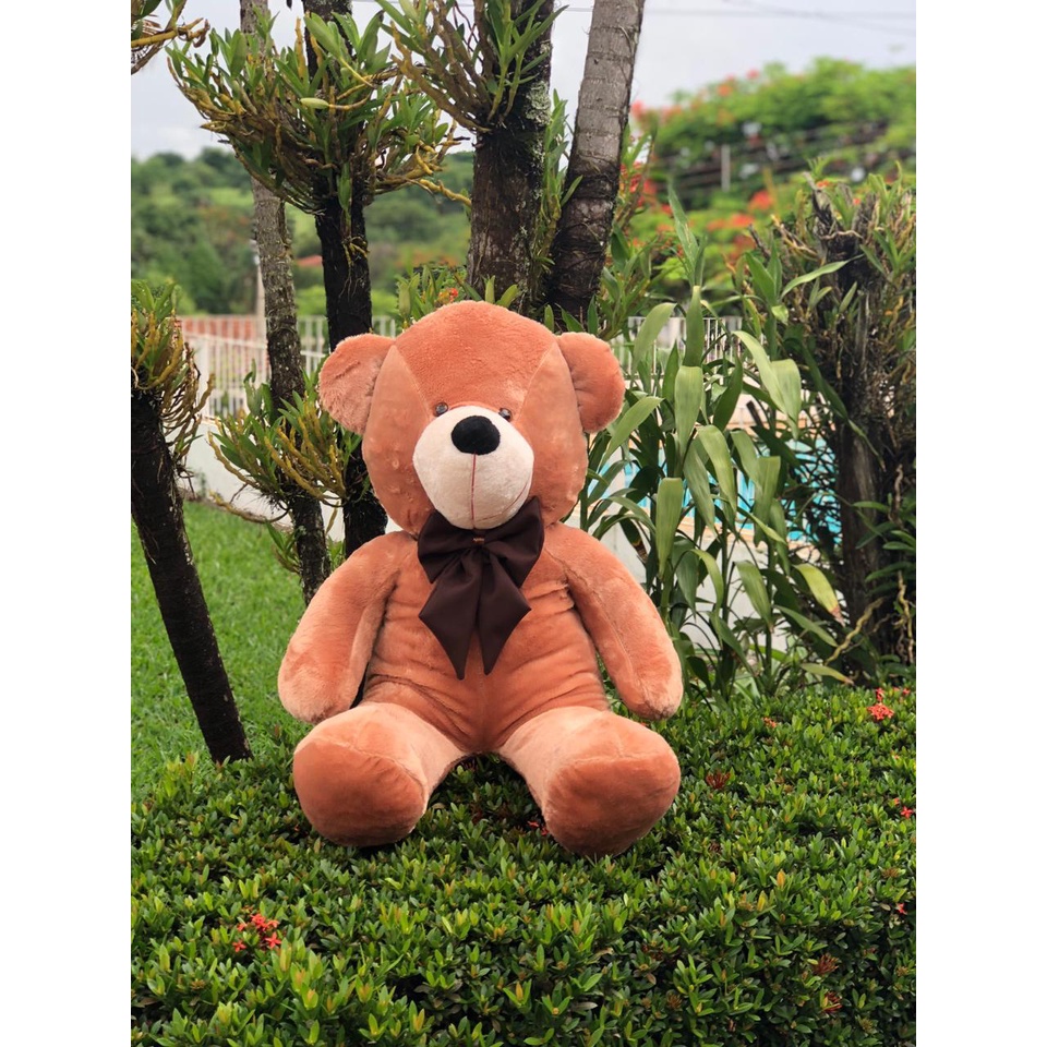 8 feet teddy bear sales price