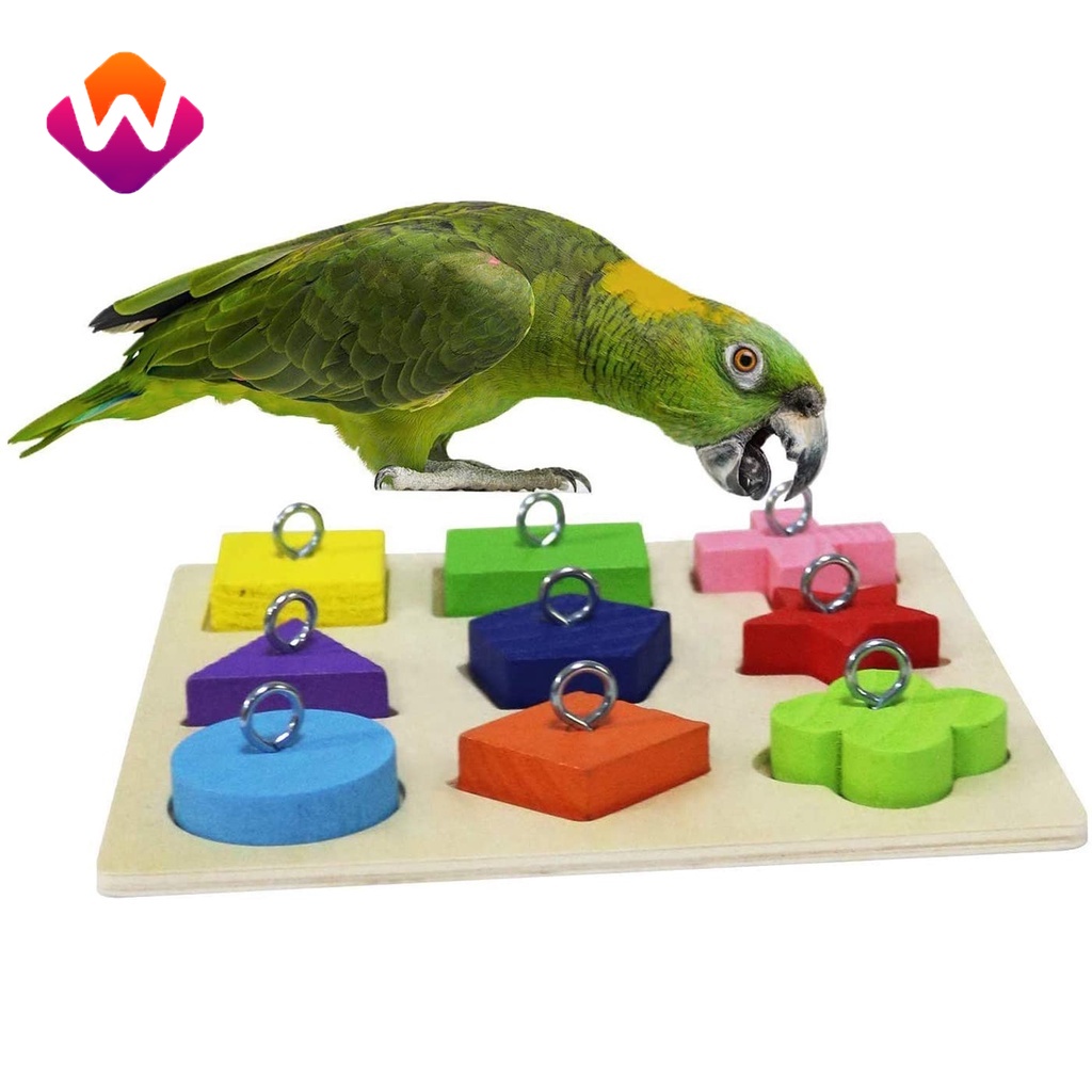 Brinquedo mini ferrule engraçado para papagaio inteligência jogo  desenvolvimento colorido anéis atividade pássaro treinamento de atividade  de navio drop
