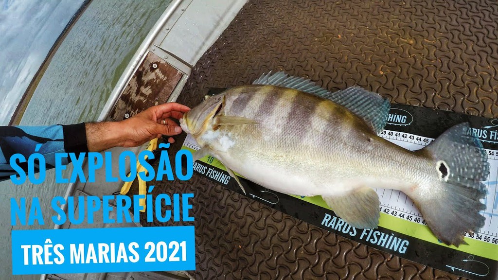 Rarus Fishing, Loja Online | Shopee Brasil