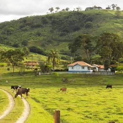 Fazenda Madureira, Loja Online | Shopee Brasil