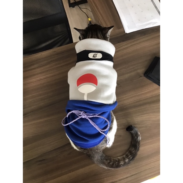 Bandana Pet Naruto Aldeia da Folha - Kao e Gatto a sua loja Pet