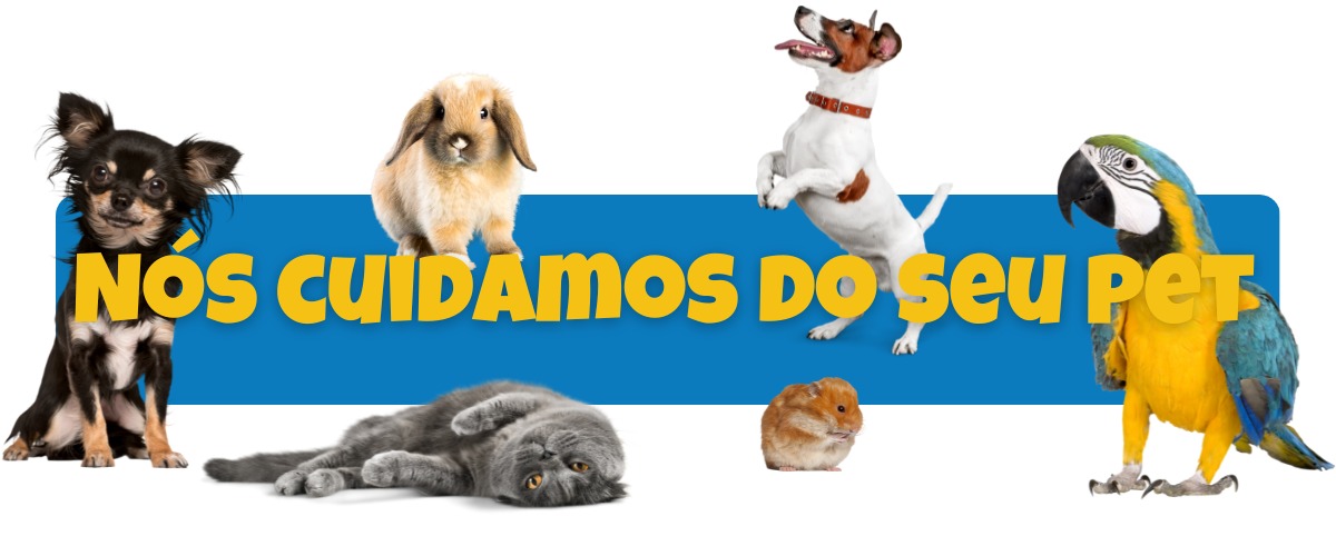 Dog Agropet, Loja Online