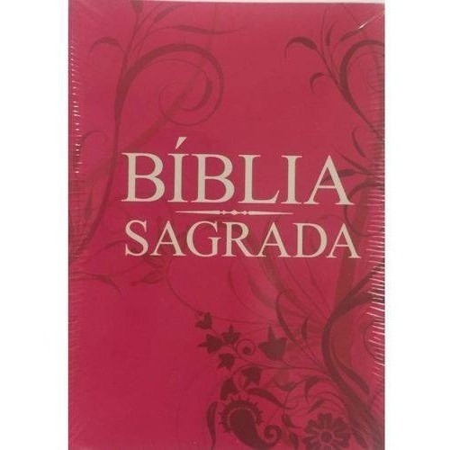 Não Desista Dos Seus Sonhos !  Mensagens da bíblia sagrada, Sonhos,  Mensagens da bíblia