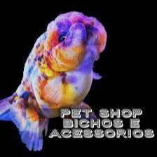 Pet Shop Bichos E Acessorios on Instagram: CONHEÇA NOSSOS PEIXES SÉRIE :  PEIXES DE FUNDO Além das corydoras, cascudos, labeos e botias, temos mais  uma grande variedade de peixes de fundo. Peixes