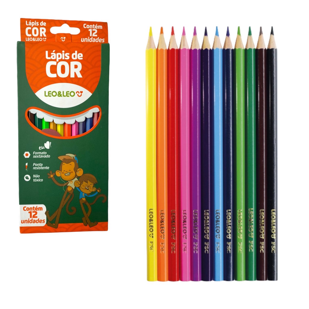 Lapis de Cor 36 Cores Bic Evolution Kit Escolar Colorido Desenho  Profissional Estojo Pintar Artes na Americanas Empresas