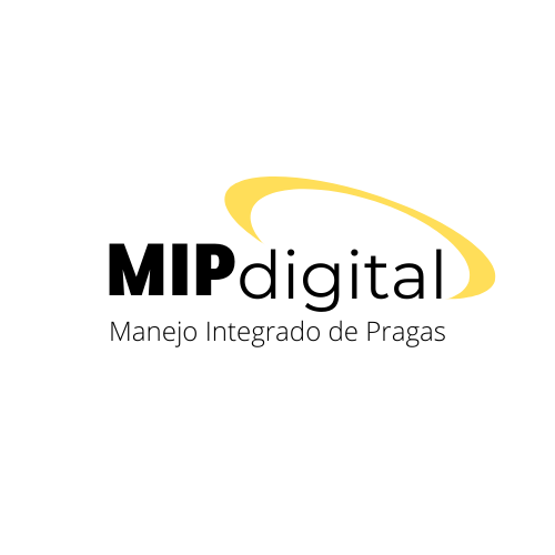 digital_mip, Loja Online | Shopee Brasil