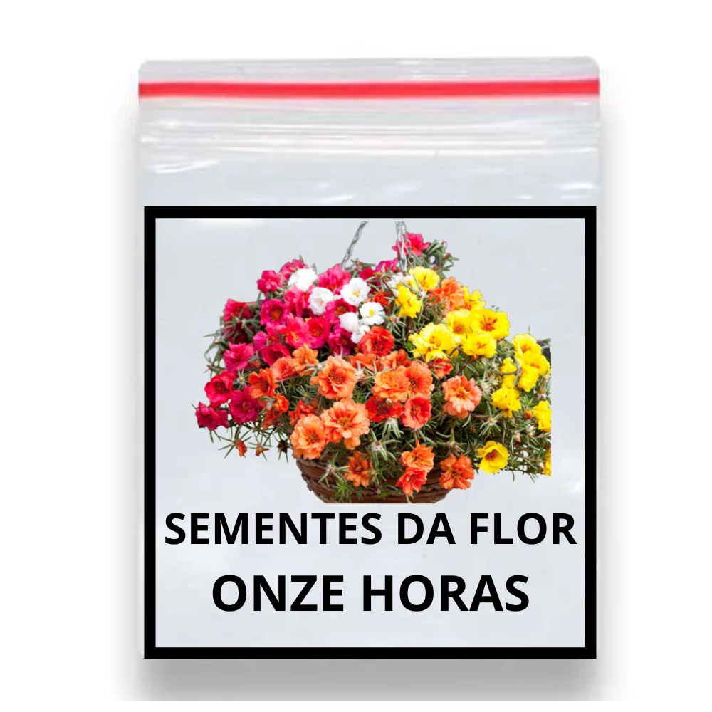 60 Sementes Flor Cravo Multicoloridos Dobrados / Ideal para Vasos e Mudas