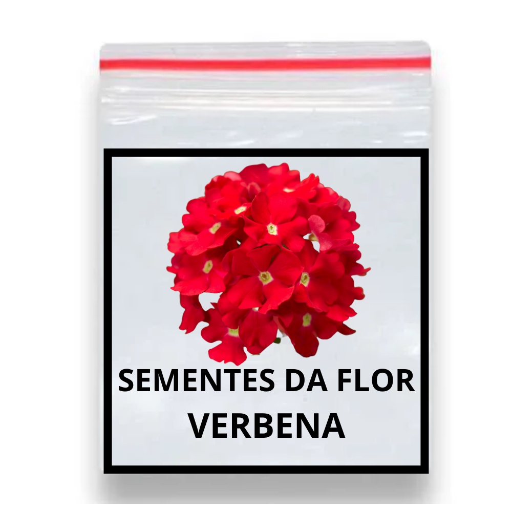 60 Sementes Flor Cravo Multicoloridos Dobrados / Ideal para Vasos e Mudas