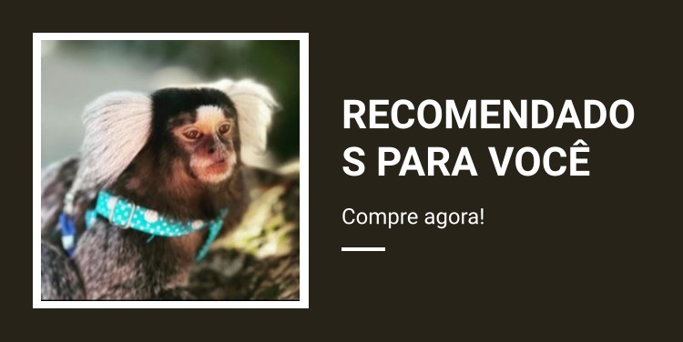 Rede Pet Grande Macaco Prego Sagui Gato Ferret Furao