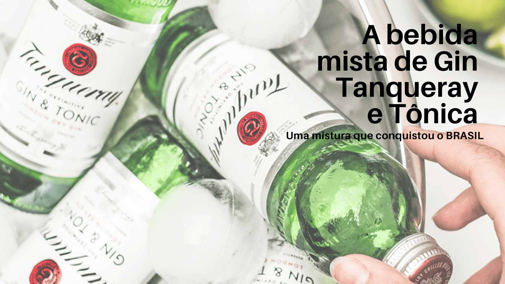 Kit Gin Tonic Tanqueray 275ml com 6 Especiarias e Dosador - Roberta  Decoracoes