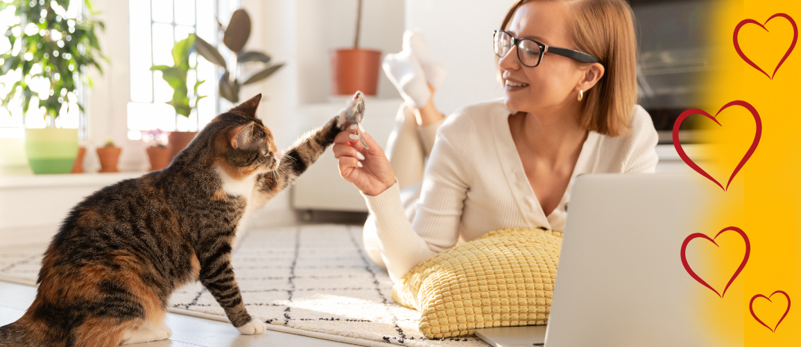 Pulo du Gato, Loja Online | Shopee Brasil