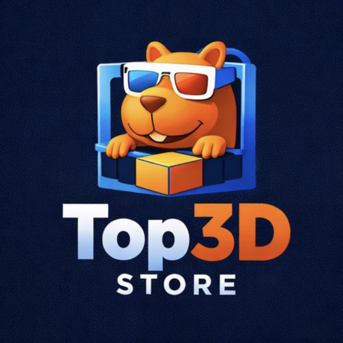 Top 3D Store, Loja Online | Shopee Brasil