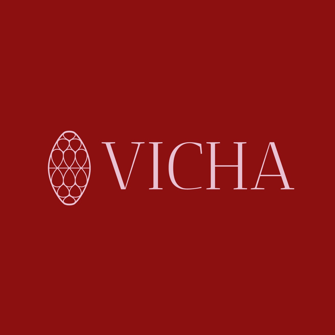 Vicha Store, Loja Online | Shopee Brasil