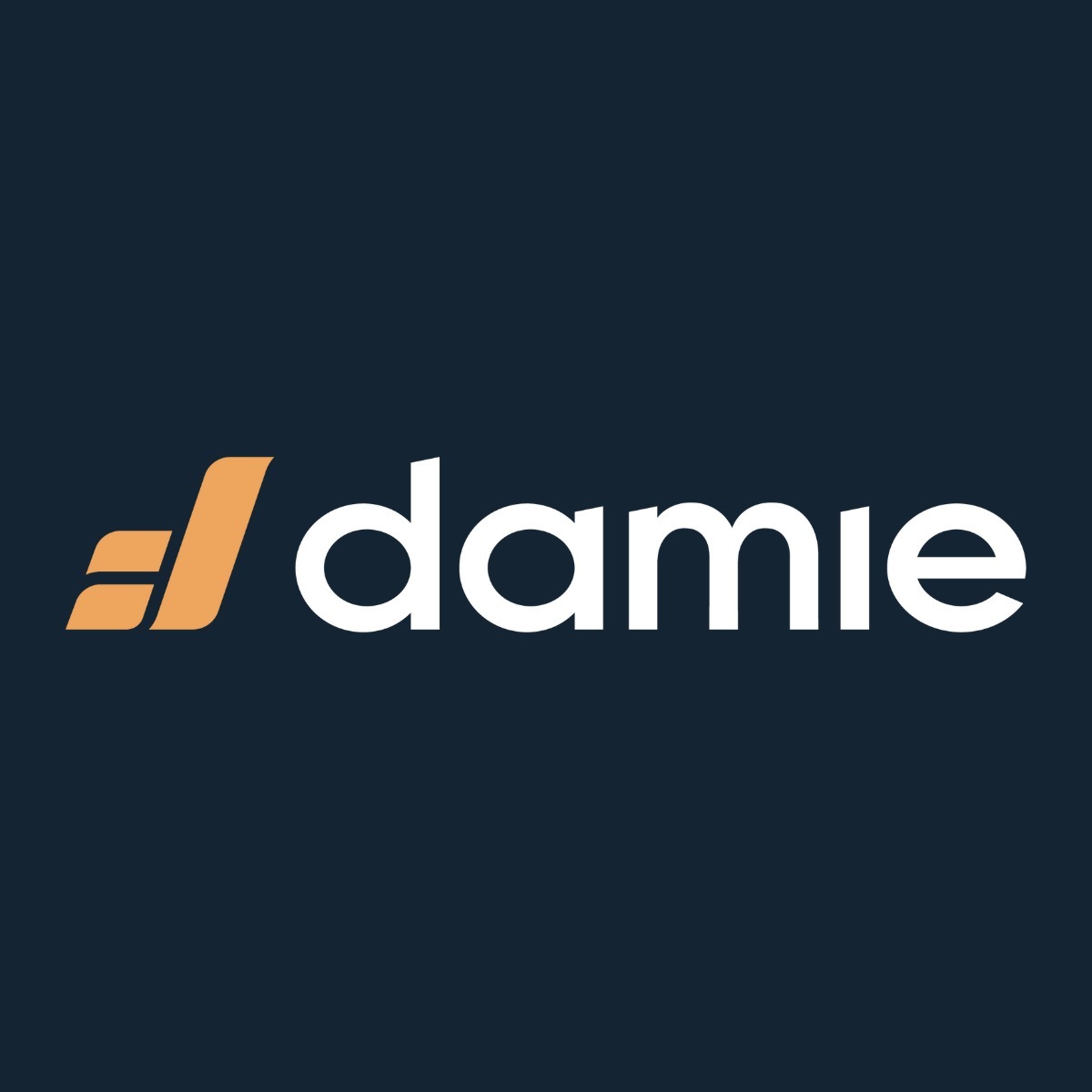 Damie, Loja Online | Shopee Brasil