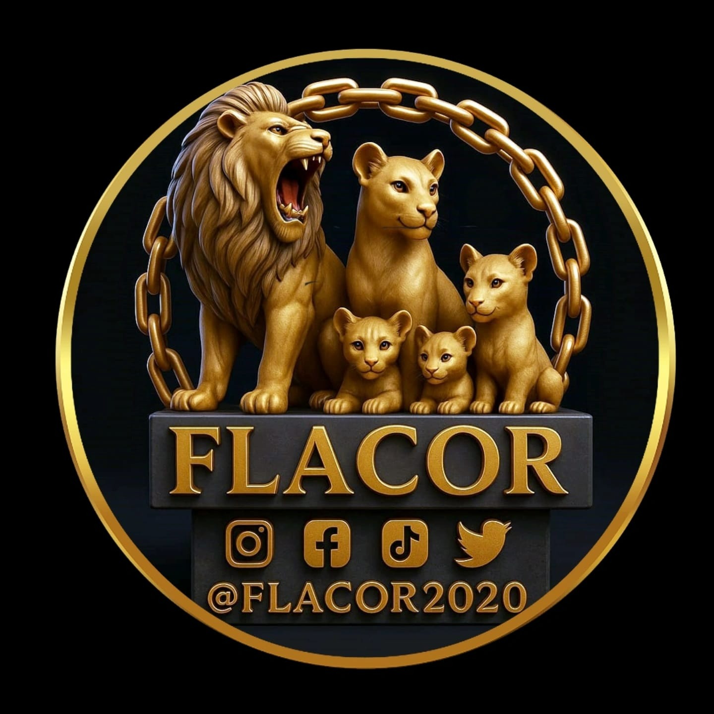 Flacor Grelhas e Ralos, Loja Online | Shopee Brasil