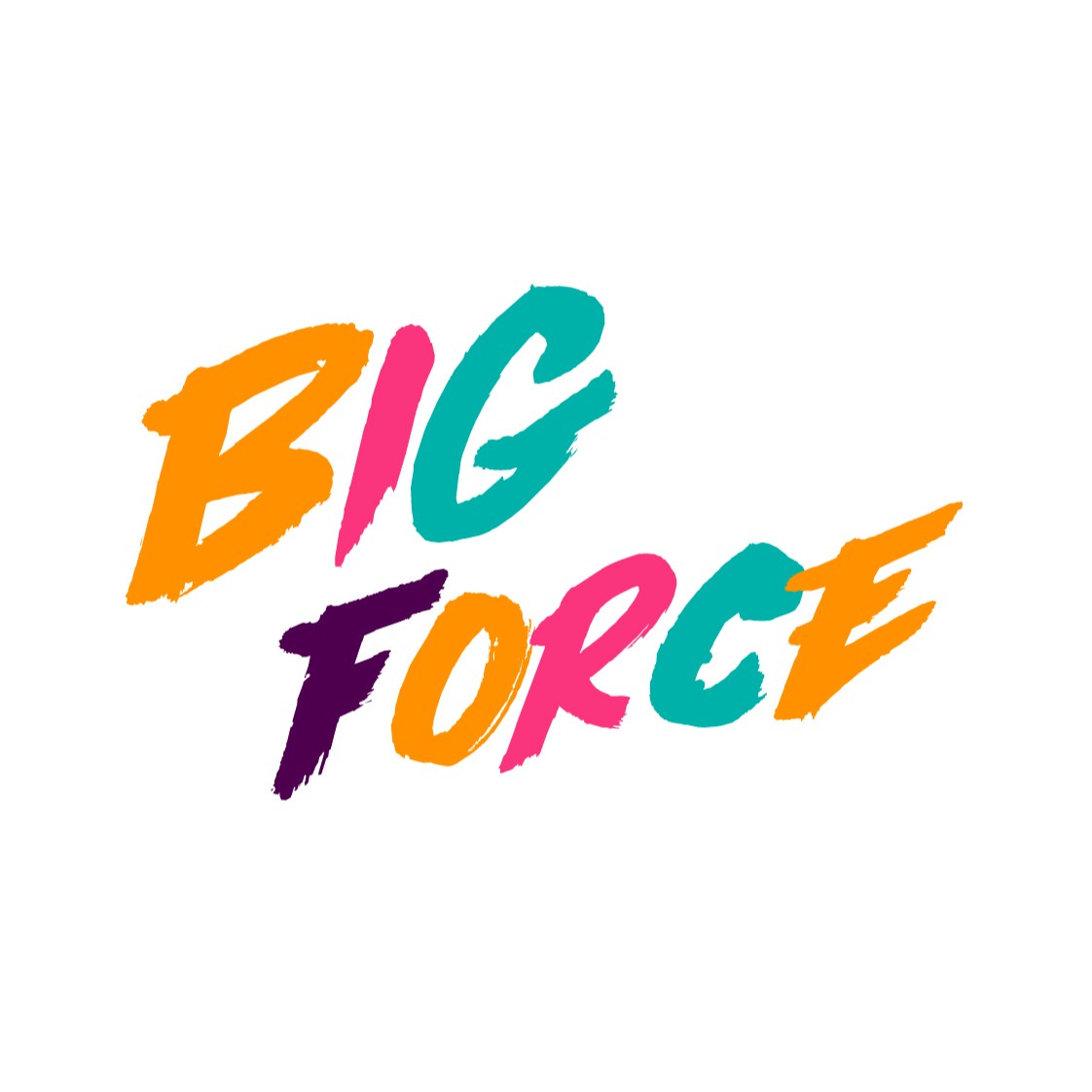 big-force-loja-online-shopee-brasil