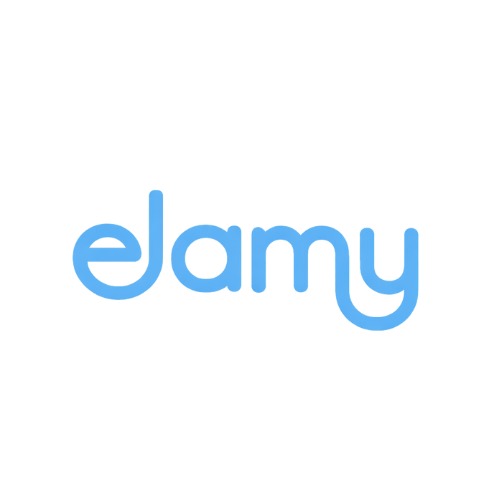 Elamy, Loja Online | Shopee Brasil
