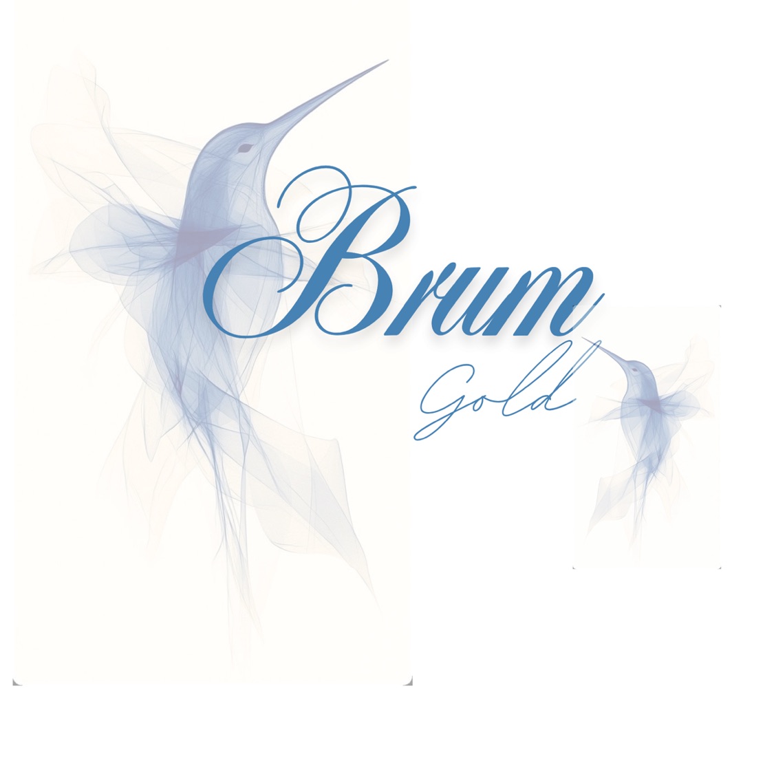 Brum!gold, Loja Online | Shopee Brasil