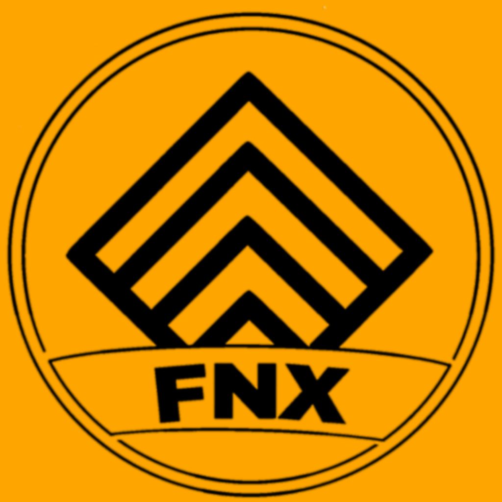 FNX_Store, Loja Online Shopee Brasil