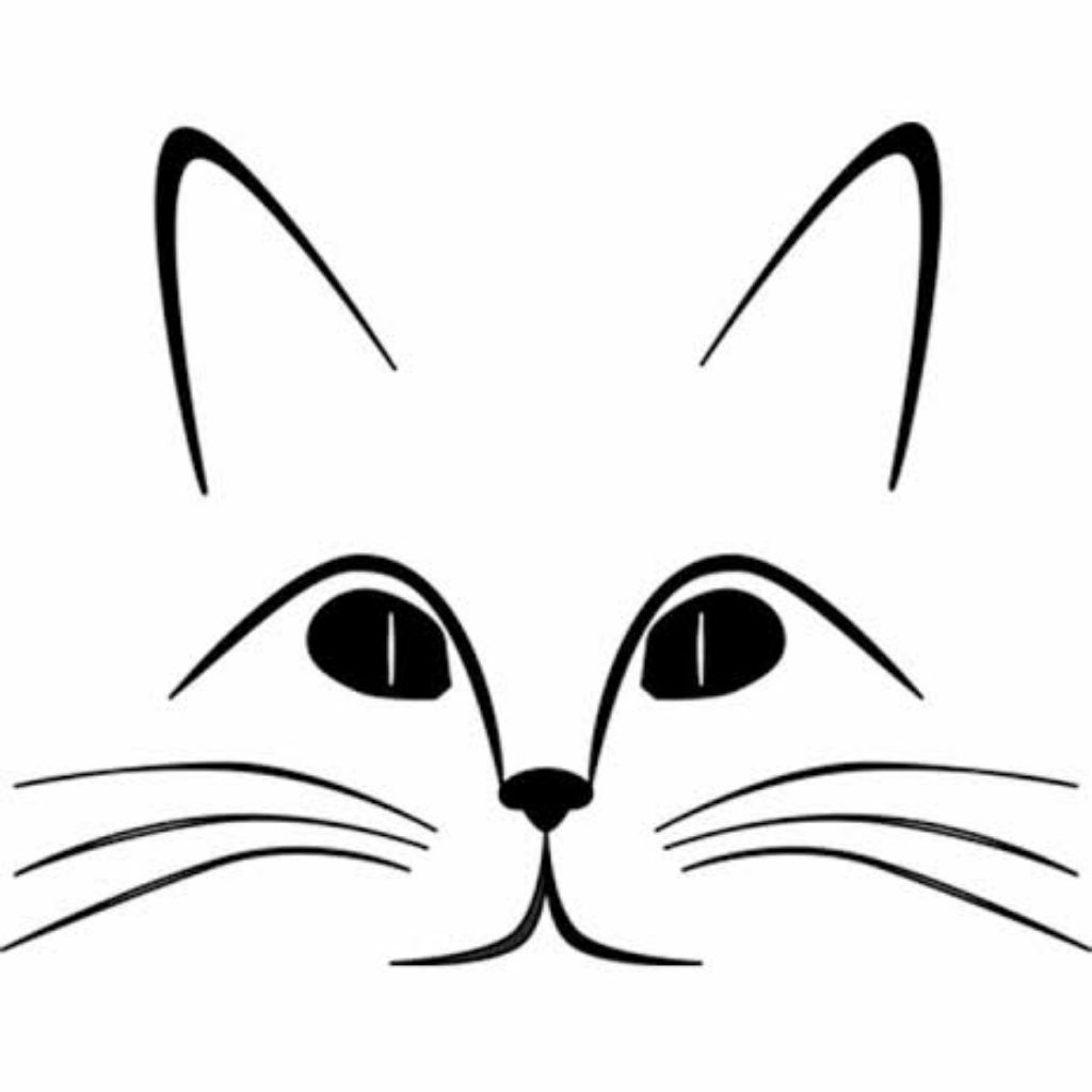 Madeira & Pets, Loja Online Shopee Brasil