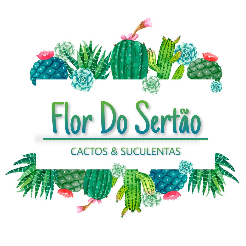 Flor Do Sertão_, Loja Online | Shopee Brasil