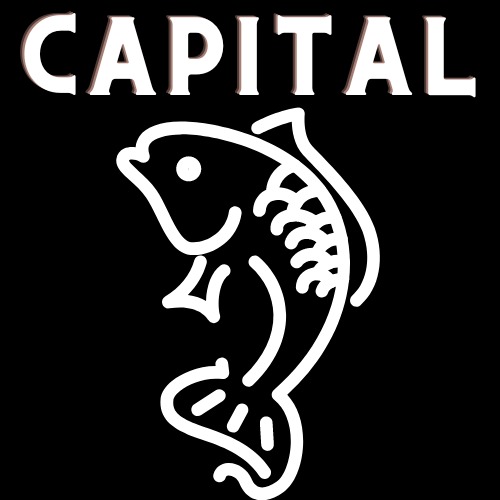 CapitalFish, Loja Online | Shopee Brasil