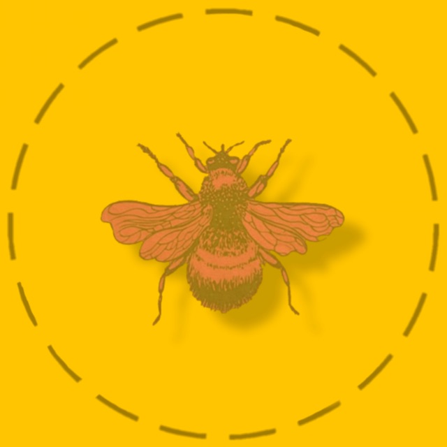 Bumblebee Store, Loja Online Shopee Brasil