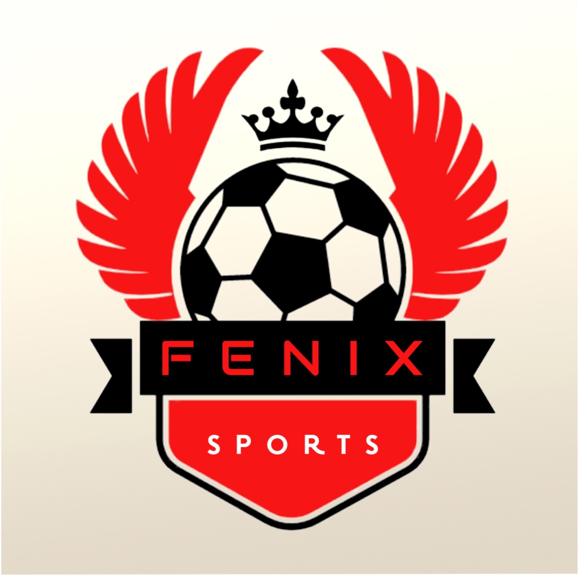 FENIX SPORTS, Loja Online Shopee Brasil