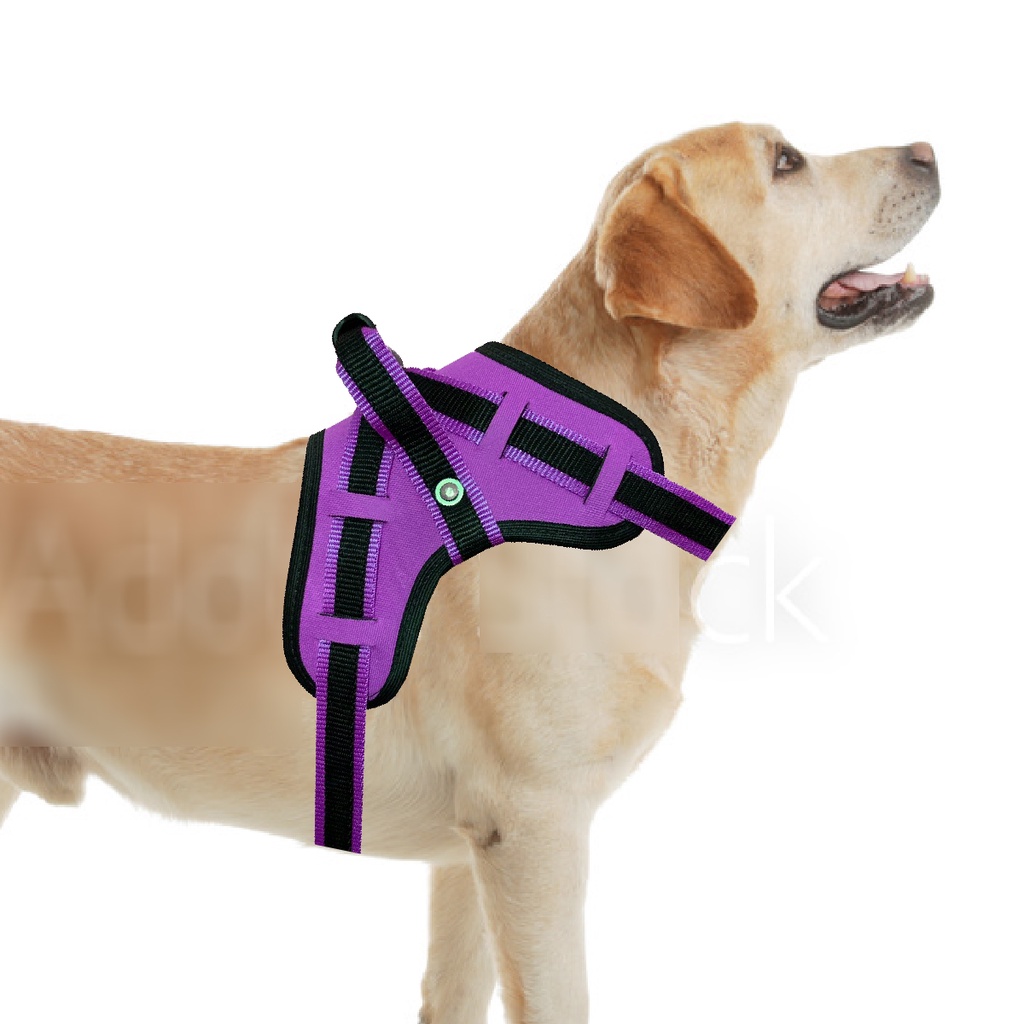 Coleira peitoral cachorro cão ajustável reforçada reflexiva pequeno/grande  porte Truelove