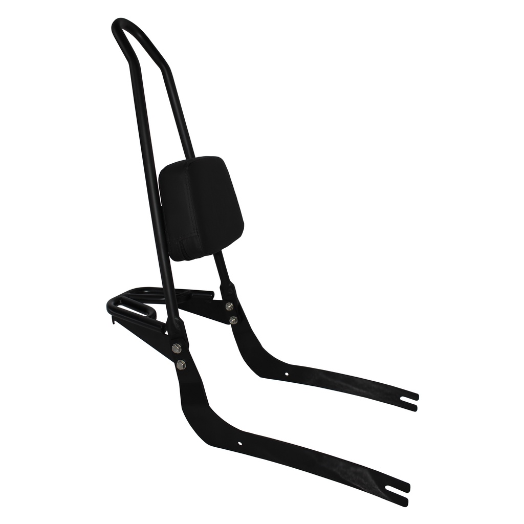 Sissy bar deals suzuki intruder 125