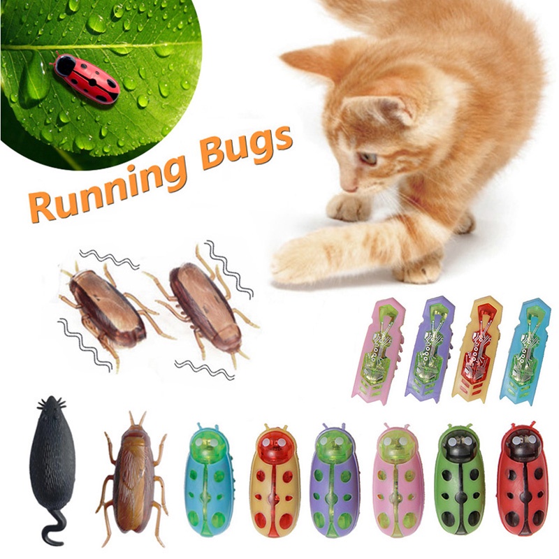 Robot bug sale cat toy